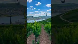 Rudesheim am Rhein | Rhine River Valley 🇩🇪