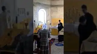 2017г. Все молодые!