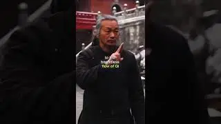 A Taoist Never Dies