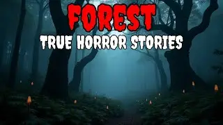 3 Creepy True Wilderness Horror Stories | Dark Nightmare