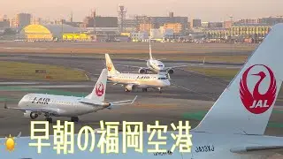 【4K】☀️早朝の福岡空港JAL.ANA.PEACH.SKYMARK.
