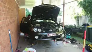 BF Xr8 open Pacemaker extractors start-up and idle