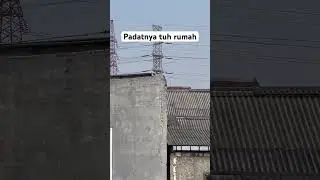 Padatnyaaaaa