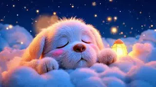 (No Ads) Fall Asleep Faster Tonight | Deep Sleep Music for Insomnia Relief, Healing & Calm Mind