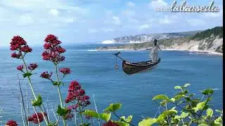 Garden background video.new.2019
