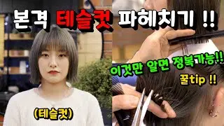 테슬컷 파헤치기 
