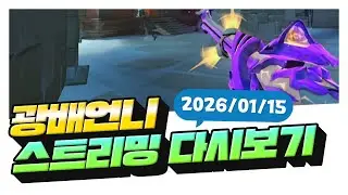 오버워치 힐돕힐무새 (1440)