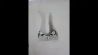 How To Draw A Realistic Human Nose