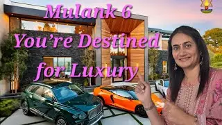 Mulank 6: Balance Venus Energy & Manifest a Luxurious Life