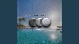 Without Solution (Original Mix)