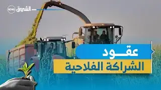 عقود الشراكة الفلاحية هاجس كبح عجلة الإستثمار في القطاع الفلاحي
