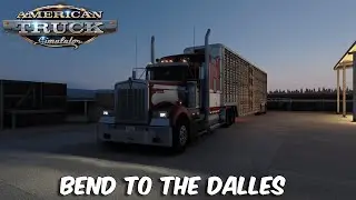 American Truck Simulator | Logitech G920 | Tobii Eye Tracker 5 | Thrustmaster TH8A | ATS ProMods