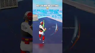 Best Colorblind Settings! 😱