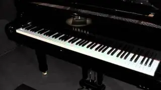 Theme from Schindler&acute;s List - John Williams - Matthias Dobler