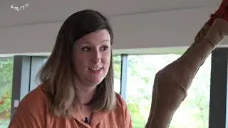 Sculpture in focus: 'Giraffe' by Laura Ford