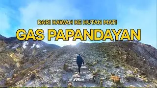 PAPANDAYAN | SUNRISE, EDELWEIS, DAN HUTAN MATI