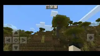 play minecraft with my brother