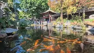 顺德 清晖园 | Shunde Qinghui Garden