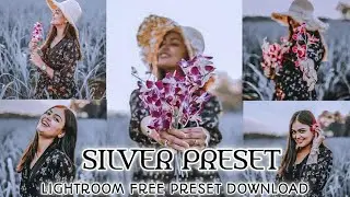silver presets free download l top preset lightroom l lightroom premium presets free download l