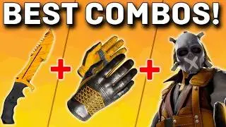 THE BEST BUDGET KNIFE & GLOVE & AGENT COMBO IN CS2 UNDER $500