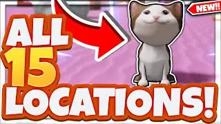 ALL *15* CANDY LAND MAP FLOPPA MORPH LOCATIONS In Roblox Find The Floppa Morphs!