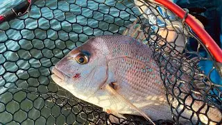 Kayak Fishing - Redcliffe