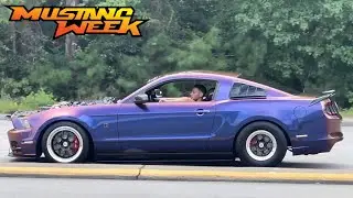 Mustang Week 2024 Day 6 Cruise In, Pullouts. Fullsends & Cops (Gets Rowdy)