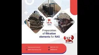 Packing of Filtration Elements for RAS (Recirculating Aquaculture System)