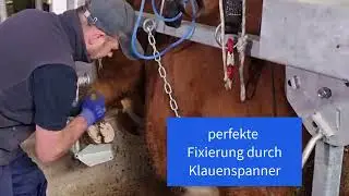 Speedfix Klauenpflegestand (VERKAUFT)