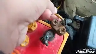 How to high speed of (cultus)Blower Motor Cutout Wiring??? by AZIZ WORLD.