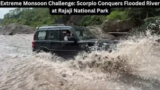 Extreme Monsoon Challenge: Scorpio Conquers Flooded River at Rajaji National Park #scorpio #flood
