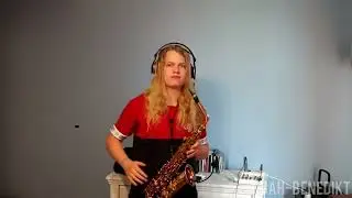 I Could Be The One (Avicii vs  Nicky Romero) - Saxophone Cover by Noah-Benedikt