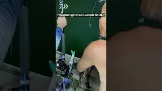 LEOBRITZ S500JP  || DAIWA