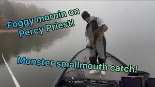 Bass Fishing Percy Priest Lake in a Heavy Fog Morning | Monster Smallmouth Catch!