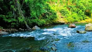 Soothing River Sounds in Nature 🍃 White Noise for Deep Relaxation