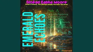 The Harpist's Rhapsody !(Irish Celtic music, celebrating the beauty and mysticism of...