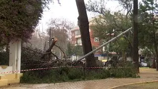 La borrasca Kristin deja numerosas incidencias en Cartagena