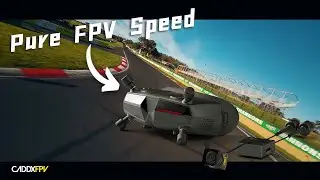Pure FPV Speed  #fpvflying #walksnail #caddxfpv