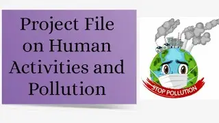 Project File || Human activities and pollution || Impact on environment