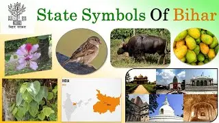 बिहार के राजकीय प्रतीक | State Symbols Of Bihar | Know Your State - Bihar | BPSC, UPSC, SSC, Railway