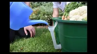 Greensmart Self Watering Pots