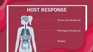 Rickettsial Disease- Rocky Mountain Spotted Fever