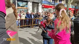 La tradici&oacute;n de San Antonio re&uacute;ne a vecinos y mascotas en  D&eacute;nia