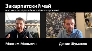 Закарпатский чай в контексте европейских чайных проектов. Интервью с Максимом Малыгиным