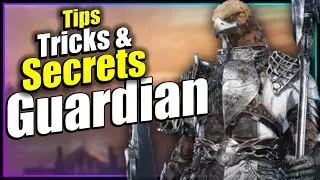 The Ultimate Nightreign Guardian Guide | Tips Tricks and Secrets