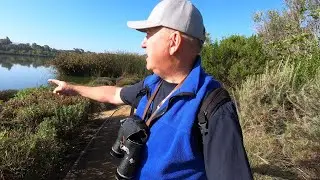 Birding at San Joaquin Wildlife Sanctuary, California