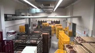 Silvester im Versand der B&auml;ckerei-Konditorei Padeffke aus M&ouml;ssingen