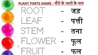 Plant parts name || पौधे के भागों के नाम || Plant parts name hindi and english #study #sikho