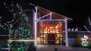 Akron Zoo Wild Lights