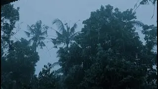 Extreme Heavy Rain and Strong Wind 🌧️ Real Storm Ambience for Sleep & Relaxation